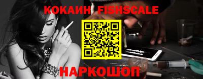 крисы Кингисепп