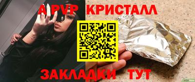 крисы Кингисепп