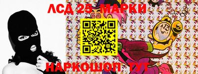 крисы Кингисепп