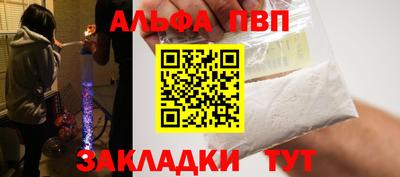 крисы Кингисепп