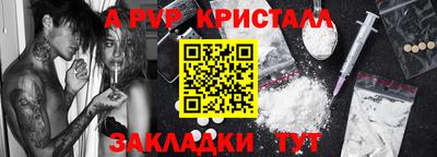 крисы Кингисепп
