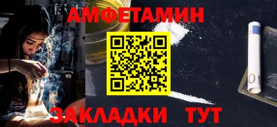 крисы Кингисепп
