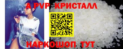 крисы Кингисепп